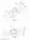 Fig. 13 - Snowshoe