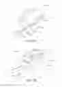 Fig. 16 - Snowshoe