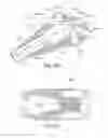 Fig. 20 - Snowshoe