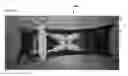 Fig. 22 - Snowshoe