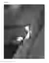 Fig. 30 - Snowshoe