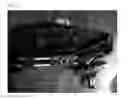 Fig. 31 - Snowshoe
