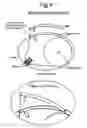 Fig. 04 - Retractable hook set