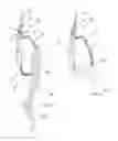 Fig. 04 - Instant response protective sinker and hook combination