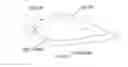 Fig. 12 - Instant response protective sinker and hook combination