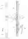Fig. 06 - Awning window unit with an operating and closing slide unit for the movable frame of the window unit