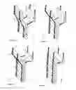 Fig. 09 - STRUCTURAL MEMBER