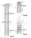 Fig. 09 - Method for producing a building having a prefabricated wood framework, and resulting building