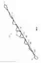 Fig. 05 - Loop rope assembly