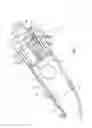 Fig. 02 - Combustion Chamber End Cover Without Welding or Brazing