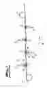 Fig. 02 - METHOD AND DEVICE FOR CONTINUOUSLY STRETCH-BEND-LEVELING METAL STRIPS