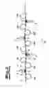 Fig. 03 - METHOD AND DEVICE FOR CONTINUOUSLY STRETCH-BEND-LEVELING METAL STRIPS