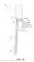 Fig. 09 - Pipe vise stand