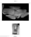 Fig. 05 - Metal abstraction peptide (MAP) tag and associated methods
