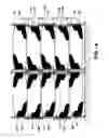 Fig. 10 - Armor plated device