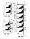 Fig. 11 - Armor plated device