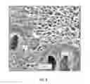 Fig. 09 - Armour steel