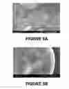 Fig. 06 - Filtering nanoparticles by bonding with microparticles