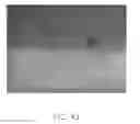 Fig. 44 - Base and method for making epitaxial structure using the same