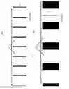 Fig. 110 - TEMPLATE FOR THREE-DIMENSIONAL THIN-FILM SOLAR CELL MANUFACTURING AND METHODS OF USE
