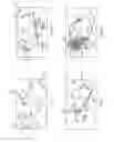 Fig. 05 - ELEMENT FOR PICKUP ANIMAL FECES