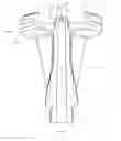 Fig. 05 - TEAT APPLICATION DEVICE