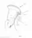 Fig. 11 - TEAT APPLICATION DEVICE