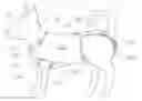 Fig. 01 - ANIMAL GARMENT