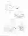 Fig. 05 - ANIMAL GARMENT