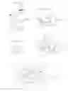 Fig. 08 - ANIMAL GARMENT