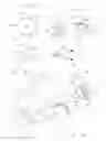 Fig. 12 - ANIMAL GARMENT