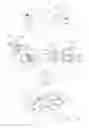 Fig. 14 - ANIMAL GARMENT