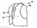 Fig. 01 - BODY ARMOR