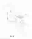 Fig. 04 - WOUND CARE GARMENT FOR ANIMALS