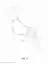 Fig. 05 - WOUND CARE GARMENT FOR ANIMALS