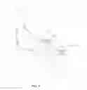 Fig. 08 - WOUND CARE GARMENT FOR ANIMALS