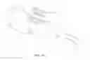 Fig. 11 - WOUND CARE GARMENT FOR ANIMALS