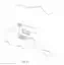 Fig. 12 - WOUND CARE GARMENT FOR ANIMALS