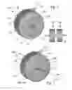 Fig. 03 - Rotary engine