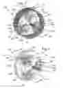 Fig. 06 - Rotary engine
