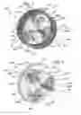 Fig. 06 - Performance of a rotary engine