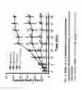 Fig. 13 - Pulse drug nebulization system, formulations therefore, and methods of use