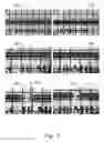 Fig. 08 - Compositions promoting the accelerated degradation of metals and composite materials