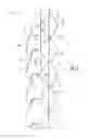 Fig. 08 - Cellular Shade Having At Least Two Cellular Columns