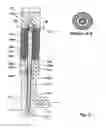 Fig. 11 - Apparatus and method for recovering fluids from a well and/or injecting fluids into a well