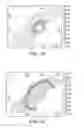 Fig. 06 - In situ combustion in gas over bitumen formations