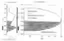 Fig. 01 - Method for Increasing Productivity of Hydraulically Fractured Wells