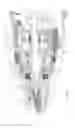 Fig. 09 - POWER TOOL