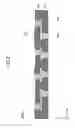 Fig. 03 - Wiring substrate and manufacturing method thereof