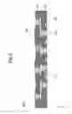 Fig. 04 - Wiring substrate and manufacturing method thereof